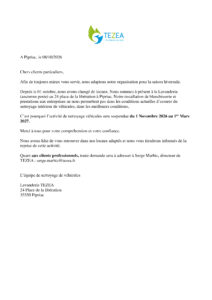 Nettoyage intérieur de véhicule